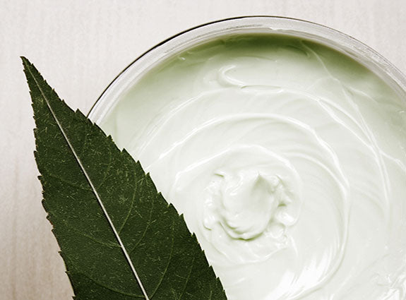 The Nature of Beauty Lotion and Leaves